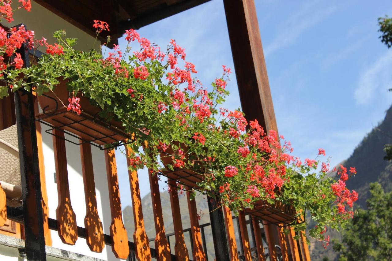 Villa Egle Antronapiana Dış mekan fotoğraf