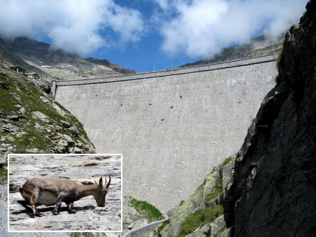 Villa Egle Antronapiana Dış mekan fotoğraf