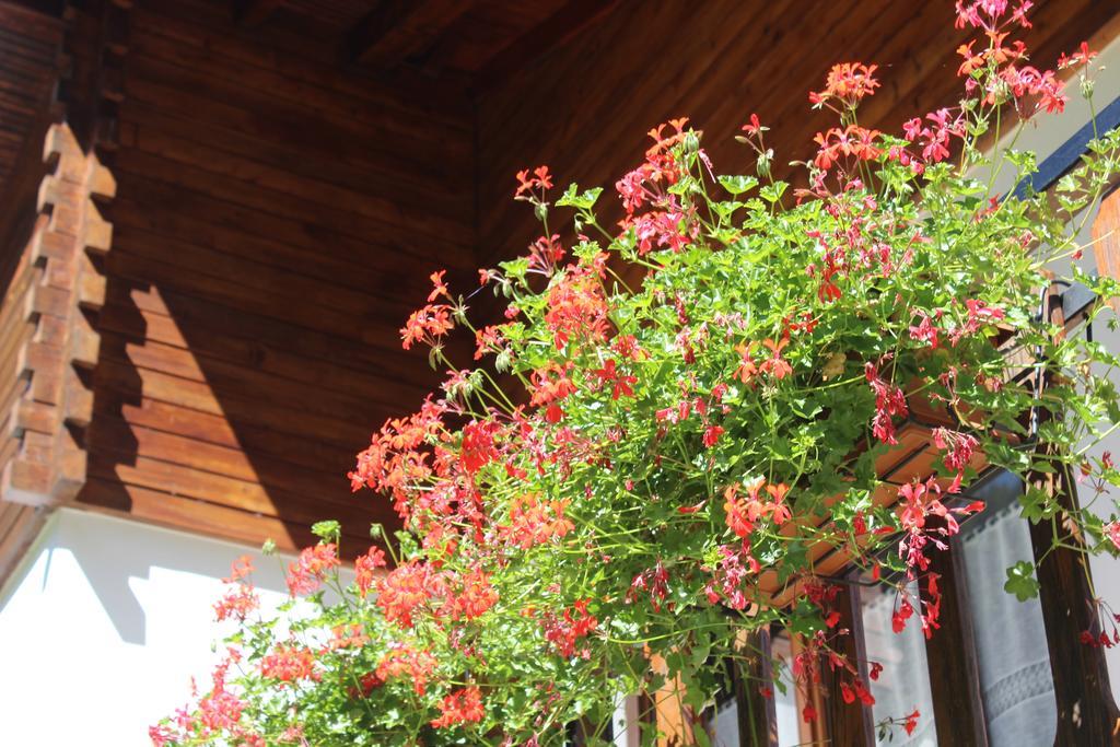 Villa Egle Antronapiana Dış mekan fotoğraf