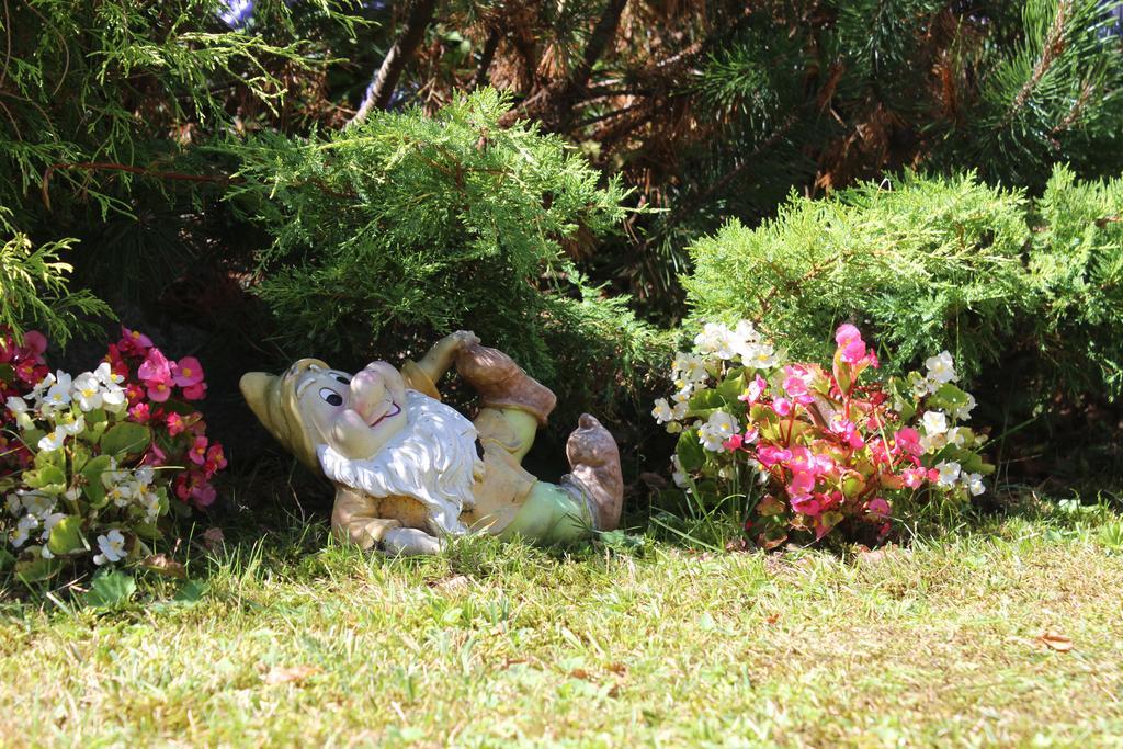 Villa Egle Antronapiana Dış mekan fotoğraf